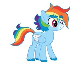 Size: 1280x1280 | Tagged: safe, artist:bunnykitty13, artist:scenebunny, artist:scenesonic, derpibooru import, edit, part of a set, vector edit, rainbow dash, pegasus, pony, alternate design, blue coat, colored hooves, colored muzzle, colored wings, colored wingtips, eyebrows, eyebrows visible through hair, female, folded wings, g4, image, long tail, mare, multicolored hair, pink eyes, png, rainbow hair, rainbow tail, redesign, short hair rainbow dash, simple background, smiling, solo, starry eyes, tail, thick eyebrows, two toned wings, unshorn fetlocks, vector, white background, wingding eyes, wings