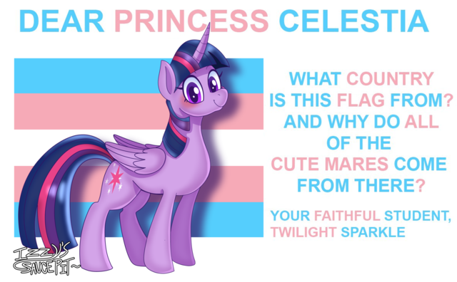 Size: 640x396 | Tagged: safe, ponerpics import, ponybooru import, twilight sparkle, image, png, pride, pride flag, solo, transgender pride flag