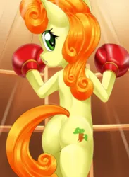 Size: 792x1080 | Tagged: dead source, suggestive, artist:pugilismx, derpibooru import, carrot top, golden harvest, pony, semi-anthro, bipedal, boxing, boxing gloves, butt, female, foxy boxing, g4, goldenbutt, image, jpeg, plot, solo, solo female, sports