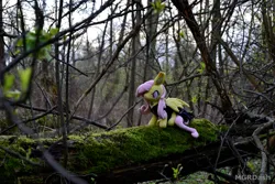 Size: 4608x3072 | Tagged: safe, derpibooru import, fluttershy, bat pony, pony, bat ponified, flutterbat, forest, image, irl, jpeg, nature, photo, plushie, ponies in real life, race swap, tree