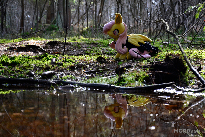 Size: 4608x3072 | Tagged: safe, derpibooru import, fluttershy, bat pony, pony, bat ponified, flutterbat, forest, image, irl, jpeg, nature, photo, plushie, pond, ponies in real life, race swap, tree, water