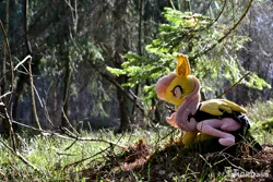 Size: 4608x3072 | Tagged: safe, artist:mgrdash, derpibooru import, fluttershy, bat pony, pony, bat ponified, flutterbat, forest, image, irl, jpeg, nature, photo, plushie, ponies in real life, race swap, tree