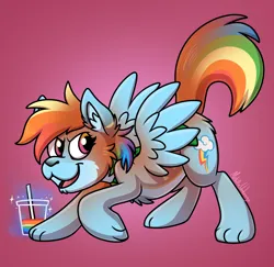 Size: 1280x1242 | Tagged: safe, artist:metallicumbrage, derpibooru import, rainbow dash, oc, oc:kickaha, fox, pegasus, pony, cloak, clothes, eye color change, furry, furry oc, furry to pony, image, male to female, mid-transformation, open mouth, pink background, png, rainbow juice, rule 63, simple background, solo, sparkles, spread wings, transformation, transgender transformation, wings