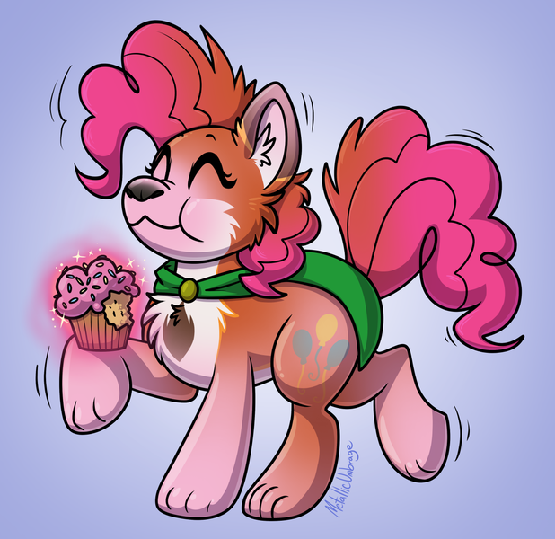 Size: 1280x1242 | Tagged: safe, artist:metallicumbrage, derpibooru import, pinkie pie, oc, oc:kickaha, earth pony, fox, pony, blue background, cloak, clothes, cupcake, eyes closed, food, furry, furry oc, furry to pony, image, male to female, mid-transformation, png, rule 63, simple background, solo, sparkles, transformation, transgender transformation
