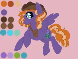 Size: 2000x1500 | Tagged: safe, artist:annuthecatgirl, derpibooru import, oc, unofficial characters only, pegasus, concept art, hat, image, png, reference sheet, satchel