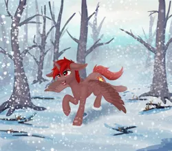 Size: 1920x1680 | Tagged: safe, artist:fess, derpibooru import, oc, oc:hardy, alicorn, pony, alicorn oc, forest, horn, image, jpeg, male, nature, running, smiling, snow, snowfall, spread wings, stallion, tree, wings