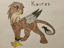 Size: 4032x3024 | Tagged: safe, artist:silfoe, artist:veprem, derpibooru import, oc, oc:kairos aurwing, unofficial characters only, gryphon, colored, female, griffon oc, image, jpeg, trace, traditional art