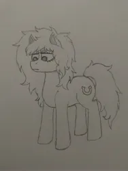 Size: 3060x4080 | Tagged: safe, artist:curly horse, derpibooru import, earth pony, pony, female, flowing mane, high res, image, jpeg, mare, monochrome, pencil drawing, sketch, solo, traditional art