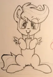 Size: 1936x2828 | Tagged: safe, artist:chevaleto, derpibooru import, scootaloo, pegasus, pony, derpibooru exclusive, drink, female, filly, g4, grayscale, image, jpeg, monochrome, pencil drawing, sitting, sketch, solo, spread wings, straw, traditional art, wings