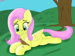 Size: 2000x1500 | Tagged: safe, artist:bazza, derpibooru import, fluttershy, bird, pegasus, pony, crossed legs, cute, g4, happy, hill, image, looking at something, lying down, photoshop, png, roots, scenery, shyabetes, side, signature, simple background, simple shading, smiling, tree, wings