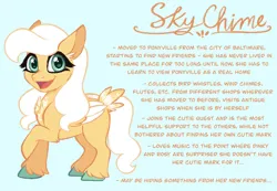 Size: 1280x887 | Tagged: safe, artist:carouselunique, derpibooru import, pegasus, pony, alternate cutie mark, alternate design, alternate hairstyle, alternate universe, character swap, colored hooves, female, fetlock tuft, filly, foal, g4, horn, image, jpeg, reference sheet, side stars au, simple background, sky chime, smiling, solo, text, unshorn fetlocks