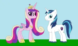 Size: 1354x799 | Tagged: safe, artist:marybethemberjoy49-1, derpibooru import, princess cadance, shining armor, alicorn, unicorn, female, g4, horn, image, male, png, ship:shiningcadance, shipping, straight