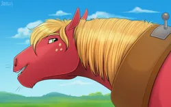 Size: 1280x801 | Tagged: safe, artist:jenery, ponerpics import, big macintosh, earth pony, pony, freckles, hoers, horse collar, image, jpeg, looking back, male, solo, stallion, whiskers