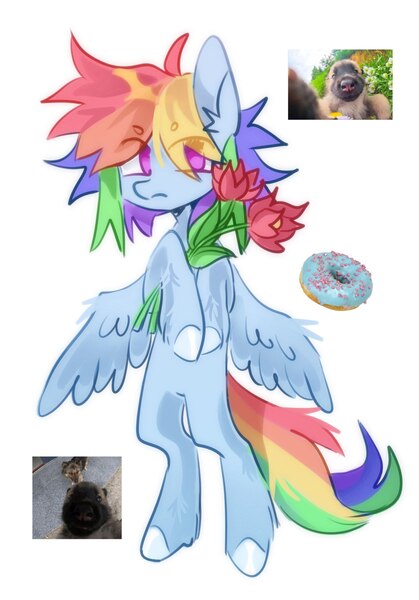 Size: 1509x2160 | Tagged: safe, artist:ksbanan, derpibooru import, rainbow dash, pegasus, pony, semi-anthro, image, jpeg, photo, solo