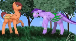 Size: 1280x694 | Tagged: safe, artist:marsh-mal-oh, derpibooru import, oc, oc:jasper, unnamed oc, unofficial characters only, dracony, hybrid, pegasus, pony, dragon wings, duo, duo female, female, floppy ears, folded wings, grass, image, interspecies offspring, lesbian, mare, offspring, offspring shipping, parent:big macintosh, parent:fluttershy, parent:rarity, parent:spike, parents:fluttermac, parents:sparity, pegasus oc, png, shy, tree, wings