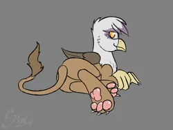 Size: 1200x900 | Tagged: safe, artist:somber, derpibooru import, gilda, gryphon, butt, claws, female, image, jpeg, lying down, paws, plot, smiling, solo