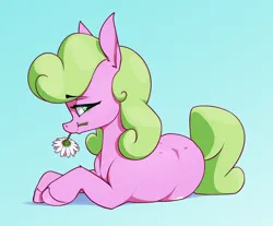 Size: 3164x2625 | Tagged: safe, artist:aquaticvibes, derpibooru import, daisy, flower wishes, earth pony, pony, blue background, daisy (flower), female, flower, high res, image, lying down, mare, mouth hold, png, prone, simple background, solo