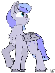 Size: 1504x2000 | Tagged: safe, artist:dsksh, derpibooru import, oc, oc:discoordination, unofficial characters only, pegasus, pony, blue eyes, chest fluff, ear fluff, folded wings, high res, image, looking up, male, pegasus oc, pegasus wings, png, raised hoof, simple background, solo, solo male, stallion, standing, tail, transparent background, turned head, two toned mane, two toned tail, unshorn fetlocks, wings