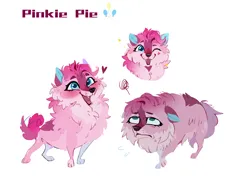 Size: 2656x2071 | Tagged: safe, artist:rr29578979, derpibooru import, pinkie pie, dog, dogified, female, fluffy, image, open mouth, open smile, pinkamena diane pie, png, simple background, smiling, species swap, white background