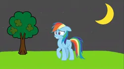 Size: 1080x602 | Tagged: safe, screencap, rainbow dash, pegasus, pony, series:bump in the night, series:mlp animation's short films, image, jpeg, scared, solo, worried