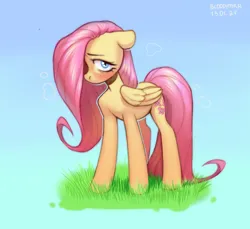 Size: 3000x2744 | Tagged: safe, artist:bloodymrr, derpibooru import, fluttershy, pegasus, pony, blue background, blue eyes, blushing, embarrassed, g4, grass, image, looking at you, one eye covered, png, shy, simple background, solo, standing