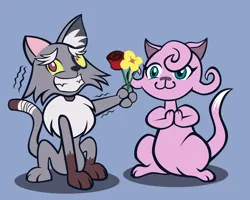 Size: 1280x1022 | Tagged: safe, artist:magerblutooth, derpibooru import, discord, fluttershy, cat, :3, bandage, bandaged tail, barely pony related, blue background, catified, cheek fluff, commission, discoshy, duo, ear fluff, female, flirting, flower, fluttercat, g4, grin, image, implied transformation, jpeg, looking away, male, neck fluff, nervous, nervous grin, rose, shipping, simple background, smiling, species swap, straight, trembling