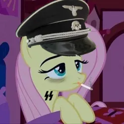 Size: 320x320 | Tagged: safe, fluttershy, pony, fascist, image, mlpol, nazi, png