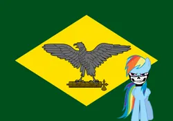 Size: 1600x1120 | Tagged: safe, rainbow dash, brazil, fascism, fascist, flag, image, nazi, png, siege mask