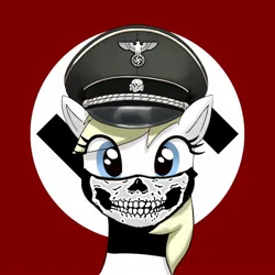 Size: 1280x1280 | Tagged: safe, edit, oc, oc:aryanne, pony, flag, image, jpeg, nazi, siege mask, swastika