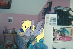 Size: 2048x1376 | Tagged: safe, artist:poniesinmyhead, derpibooru import, derpy hooves, pegasus, pony, awesome, bed, bedroom, computer, image, indoors, jpeg, laptop computer, real life background, room, solo