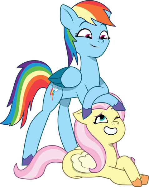 Size: 953x1197 | Tagged: safe, artist:prixy05, derpibooru import, fluttershy, rainbow dash, pegasus, pony, g5, my little pony: tell your tale, duo, duo female, female, g4, g4 to g5, generation leap, image, mare, png, simple background, smolshy, tallerdash, transparent background, vector