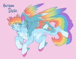 Size: 1636x1260 | Tagged: safe, artist:pretzelprince, derpibooru import, rainbow dash, pegasus, pony, alternate color palette, alternate design, alternate hairstyle, alternate tailstyle, blue coat, blue text, cheek fluff, chest fluff, coat markings, colored hooves, colored pinnae, colored wings, concave belly, ear fluff, eye clipping through hair, eyebrows, eyebrows visible through hair, facial markings, fangs, female, fetlock tuft, flying, g4, hooves in air, image, in air, leg fluff, long tail, looking back, mare, messy mane, messy tail, multicolored hair, multicolored mane, multicolored tail, multicolored wings, narrowed eyes, one eye closed, partially open wings, pink background, pink eyes, png, rainbow hair, rainbow tail, rainbow wings, raised hoof, redesign, sharp teeth, short mane, simple background, smiling, socks (coat marking), solo, stripe (coat marking), tail, teeth, text, twitterina design, wing fluff, wingding eyes, wings