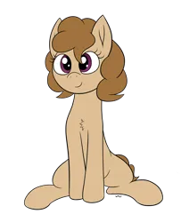 Size: 2344x2884 | Tagged: safe, artist:wapamario63, ponerpics import, ponybooru import, oc, oc:dusty, unofficial characters only, earth pony, pony, chest fluff, cute, female, image, mare, png, simple background, sitting, solo, transparent background