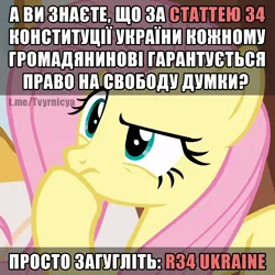 Size: 1080x1080 | Tagged: safe, derpibooru import, edit, edited screencap, editor:rimour, screencap, fluttershy, pegasus, pony, constitution, cyrillic, female, g4, image, joke, looking up, meme, png, politics, rule 34, solo, solo female, text edit, thinking, ukraine, ukrainian