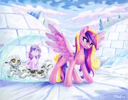 Size: 1533x1200 | Tagged: safe, artist:maytee, derpibooru import, princess cadance, princess flurry heart, oc, alicorn, changeling, pony, force field, g4, igloo, image, png, snow changeling