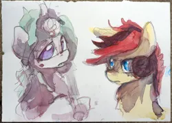 Size: 5167x3691 | Tagged: safe, artist:ruby, derpibooru import, oc, oc:rivana, oc:southern belle, unofficial characters only, earth pony, pony, unicorn, bust, high res, horn, image, jpeg, portrait, traditional art, watercolor painting