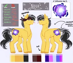 Size: 4500x3900 | Tagged: safe, artist:dejji_vuu, derpibooru import, oc, oc:nova, earth pony, pony, concave belly, image, male, png, reference sheet, solo, stallion, sternocleidomastoid, unshorn fetlocks