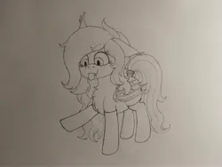 Size: 4080x3060 | Tagged: safe, artist:curly horse, derpibooru import, oc, oc:umbra glow, unofficial characters only, bat pony, :p, chest fluff, clothes, fluffy, freckles, image, jpeg, pencil drawing, socks, tongue out, traditional art