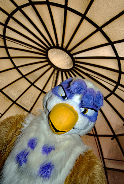 Size: 864x1280 | Tagged: safe, derpibooru import, gilda, gryphon, bust, fursuit, image, irl, jpeg, photo, portrait, solo