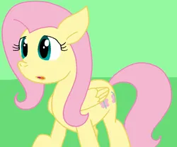 Size: 866x722 | Tagged: safe, artist:cmara, derpibooru import, fluttershy, pegasus, pony, female, g4, image, png, solo