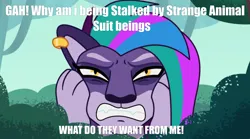 Size: 3300x1835 | Tagged: safe, derpibooru import, edit, edited screencap, screencap, big cat, leopard, snow leopard, g5, my little pony: tell your tale, spoiler:g5, allura, breaking the fourth wall, female, funny, image, meme, png, sad, she knows, solo, solo female