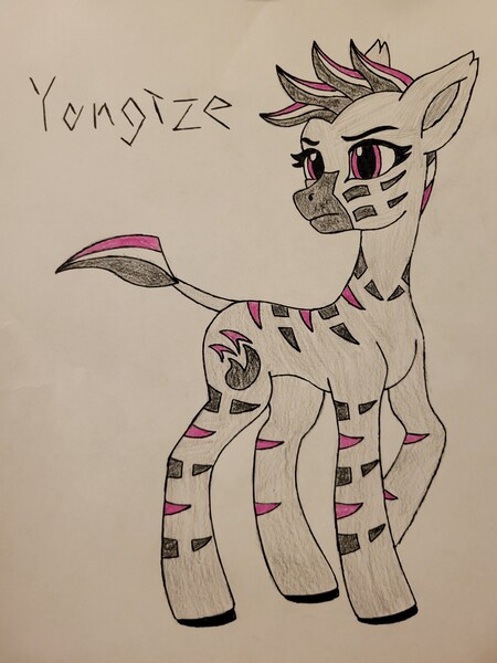 Size: 3024x4032 | Tagged: safe, artist:lispp, artist:veprem, derpibooru import, oc, oc:yangtze, pony, zebra, colored, concave belly, female, fit, image, jpeg, mare, slender, thin, trace, traditional art, zebra oc