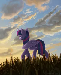 Size: 3000x3700 | Tagged: safe, artist:anastas, derpibooru import, twilight sparkle, twilight sparkle (alicorn), alicorn, pegasus, pony, unicorn, cloud, cloudy, commission, detailed background, female, folded wings, from below, g4, grass, grass field, horn, image, png, raised hoof, solo, sunset, walking, wings, ych example, your character here