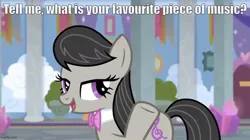 Size: 888x499 | Tagged: safe, derpibooru import, screencap, octavia melody, a horse shoe-in, caption, image, image macro, imgflip, jpeg, talking to viewer, text