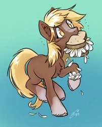 Size: 2175x2700 | Tagged: safe, artist:opalacorn, derpibooru import, ponified, ponified:sgt. reckless, earth pony, pony, blaze (coat marking), chest fluff, coat markings, daffodil and daisy sandwich, facial markings, female, food, gradient background, image, jpeg, mare, mouth hold, sandwich, signature, socks (coat marking), solo, standing on two hooves