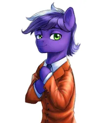 Size: 1240x1420 | Tagged: safe, artist:n0thingbutath0ught, derpibooru import, oc, pony, clothes, g4, image, looking at you, png, solo