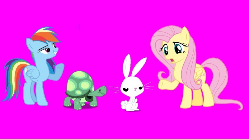 Size: 1080x602 | Tagged: safe, screencap, angel bunny, fluttershy, rainbow dash, tank, pegasus, pony, rabbit, tortoise, series:an angel's tale, series:mlp animation's short films, angel bunny is not amused, animal, confused, image, jpeg, pointing, unamused