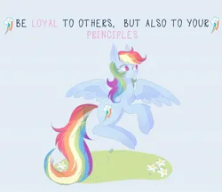 Size: 2048x1781 | Tagged: safe, artist:junko volkova, derpibooru import, rainbow dash, pegasus, pony, cutie mark, flying, image, jpeg, solo, spread wings, translation, wings