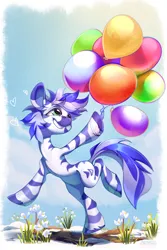 Size: 2000x3000 | Tagged: safe, artist:mithriss, derpibooru import, oc, unofficial characters only, zebra, balloon, belly, female, flower, image, png, quadrupedal, running, smiling, snow, solo, standing, standing on one leg