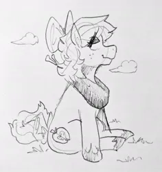 Size: 958x1013 | Tagged: safe, artist:punkittdev, derpibooru import, big macintosh, earth pony, pony, bow, curly mane, curly tail, eye clipping through hair, female, freckles, g4, grass, hair bow, hoof shoes, image, jpeg, lidded eyes, looking back, mare, pencil drawing, profile, sitting, sketch, smiling, tail, traditional art, trans big macintosh, trans day of visibility, trans female, transgender, yoke